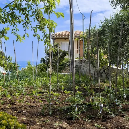 Gkountis Stone 3 * Lefkáda